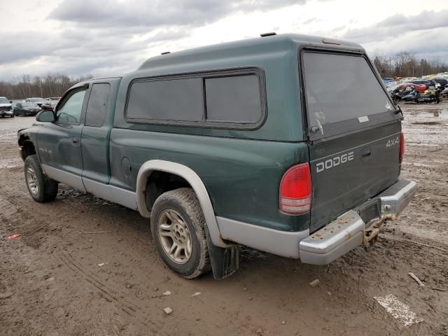 1999 Dodge Dakota