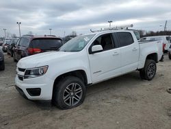 Salvage cars for sale at Indianapolis, IN auction: 2020 Chevrolet Colorado