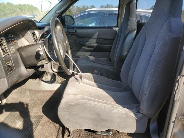 2004 Dodge Dakota SXT