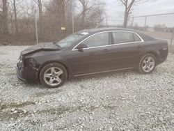Salvage cars for sale at Cicero, IN auction: 2010 Chevrolet Malibu 1LT