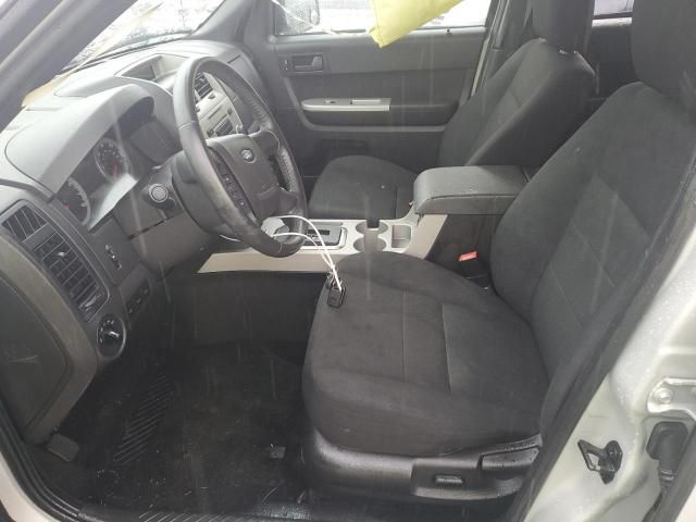 2009 Ford Escape XLT