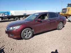 Salvage cars for sale at Phoenix, AZ auction: 2014 Honda Accord LX