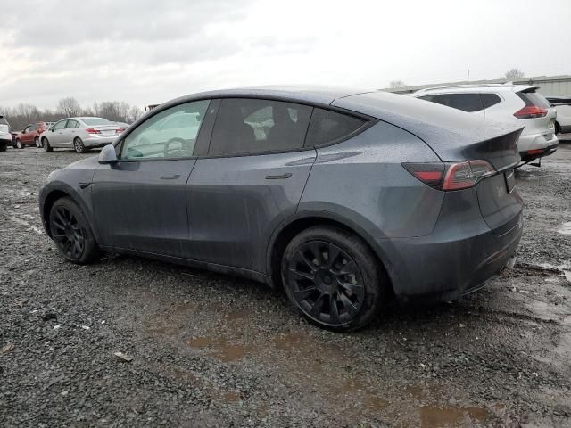 2020 Tesla Model Y