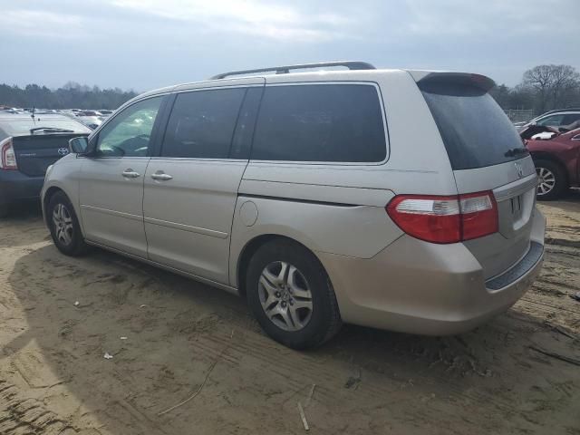 2005 Honda Odyssey EXL