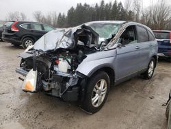 Salvage cars for sale from Copart Leroy, NY: 2010 Honda CR-V EXL