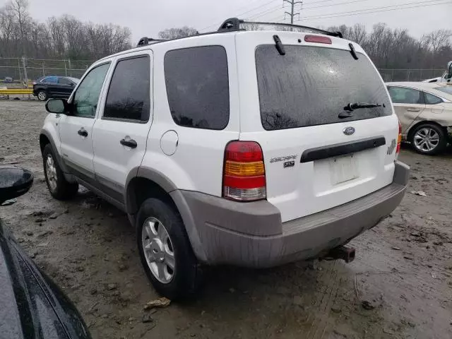 2001 Ford Escape XLT