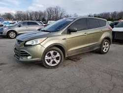 2013 Ford Escape SE en venta en Columbia, MO