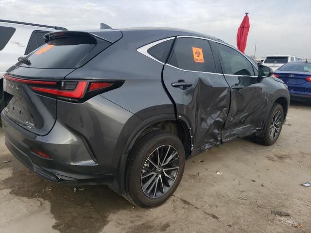 2024 Lexus NX 350H Base