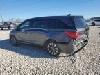 2024 Honda Odyssey EXL