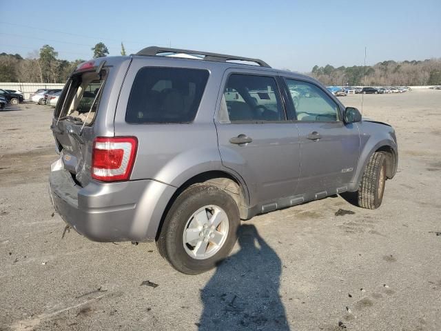 2008 Ford Escape XLT