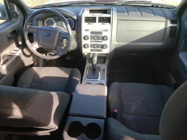 2009 Ford Escape XLT