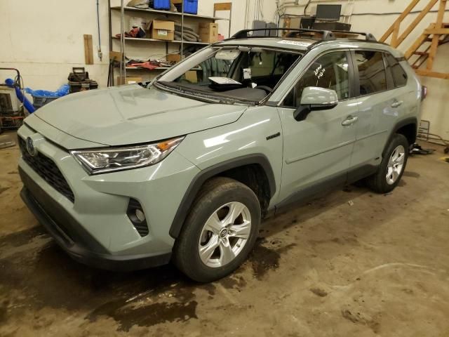 2019 Toyota Rav4 XLE