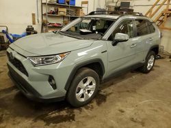 2019 Toyota Rav4 XLE en venta en Ham Lake, MN