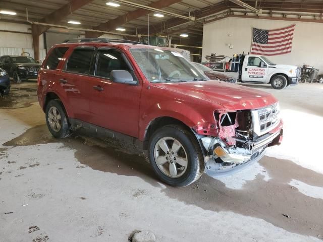 2011 Ford Escape XLT