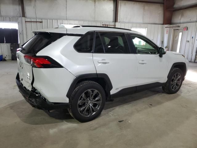 2023 Toyota Rav4 XLE Premium