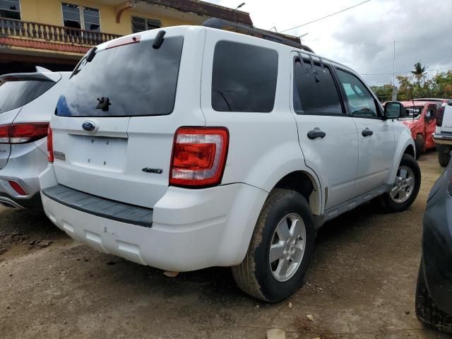 2009 Ford Escape XLT