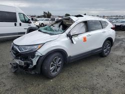 Salvage cars for sale from Copart Antelope, CA: 2022 Honda CR-V EXL