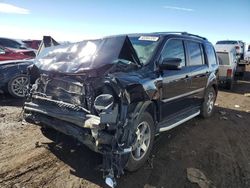 Salvage cars for sale at Brighton, CO auction: 2011 Honda Pilot Touring