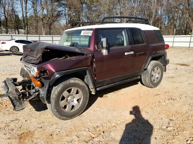 2007 Toyota FJ Cruiser