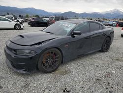 Dodge Charger Scat Pack salvage cars for sale: 2023 Dodge Charger Scat Pack