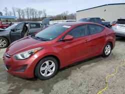 Salvage cars for sale at Spartanburg, SC auction: 2014 Hyundai Elantra SE