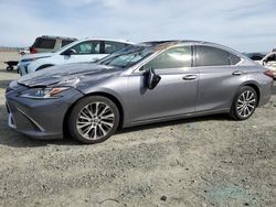 Lexus salvage cars for sale: 2019 Lexus ES 350