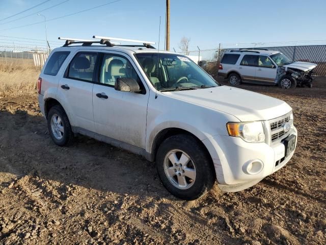 2011 Ford Escape XLT