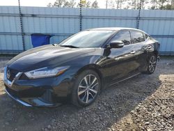 Nissan Maxima S salvage cars for sale: 2019 Nissan Maxima S