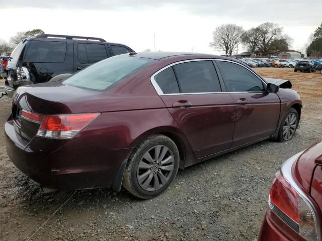 2011 Honda Accord EXL