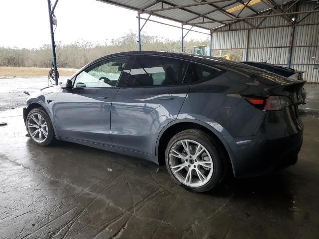 2020 Tesla Model Y