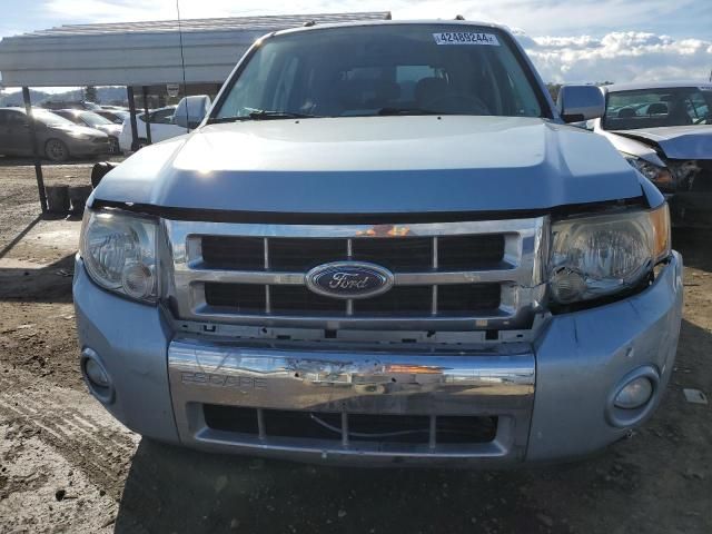 2008 Ford Escape HEV