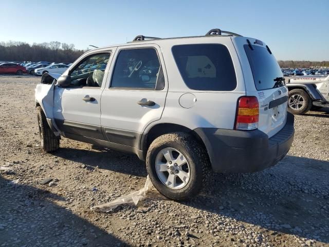 2005 Ford Escape XLT