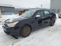 Salvage cars for sale at Elmsdale, NS auction: 2010 Ford Focus SE