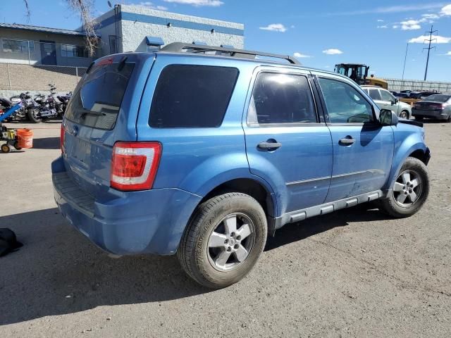 2010 Ford Escape XLT