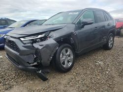 Toyota Rav4 XLE salvage cars for sale: 2022 Toyota Rav4 XLE