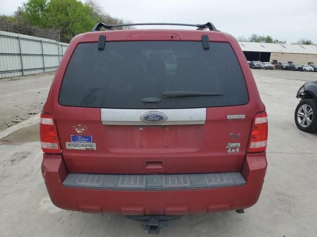 2011 Ford Escape Limited