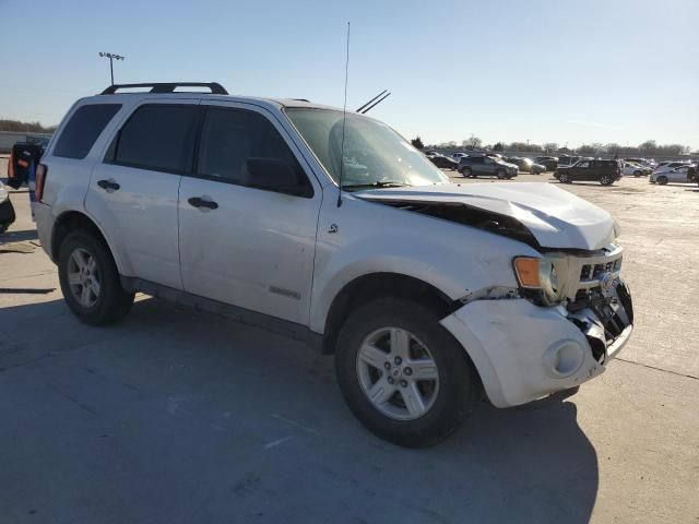 2008 Ford Escape HEV