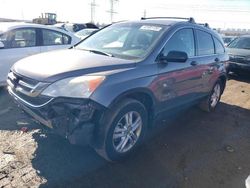 Salvage cars for sale at Elgin, IL auction: 2011 Honda CR-V EX