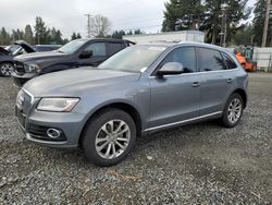 Audi salvage cars for sale: 2013 Audi Q5 Premium Plus