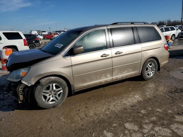 2006 Honda Odyssey EXL