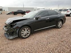 Salvage cars for sale from Copart Phoenix, AZ: 2010 Lexus ES 350