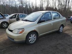 Toyota Echo salvage cars for sale: 2001 Toyota Echo