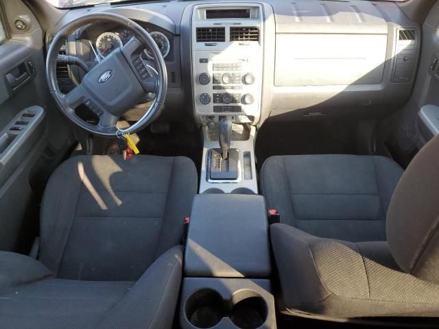 2009 Ford Escape XLT