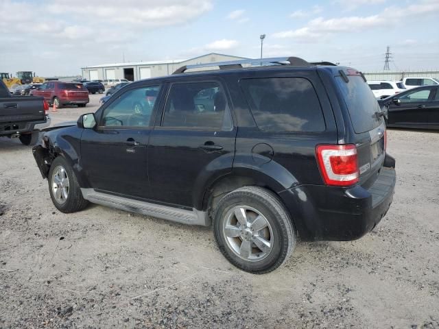 2010 Ford Escape Limited