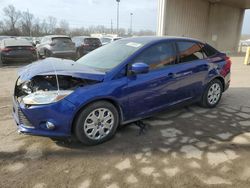 Ford salvage cars for sale: 2012 Ford Focus SE