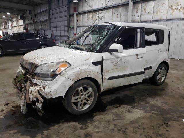 2010 KIA Soul +