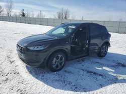 Salvage cars for sale at Wayland, MI auction: 2023 Ford Escape ST Line