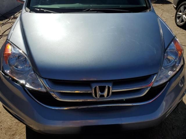 2010 Honda CR-V EXL