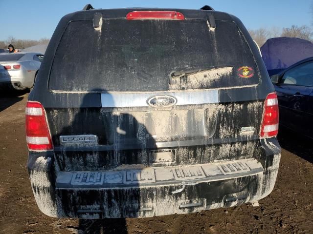 2010 Ford Escape Limited