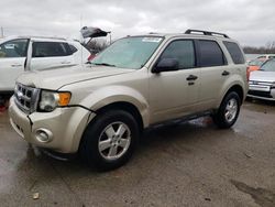 Salvage cars for sale from Copart Louisville, KY: 2012 Ford Escape XLT